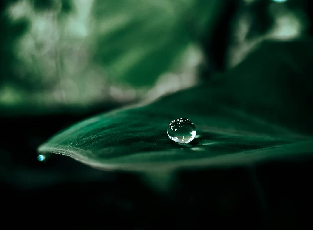 香水を使うシーン